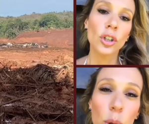 Luisa Mell se revolta com situação em Brumadinho. (Foto: Reprodução)