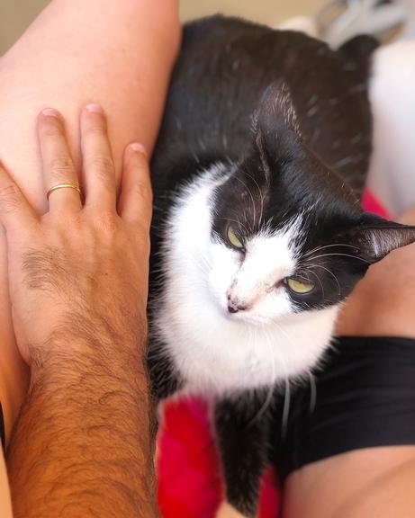 Gata de Marina morre após 17 anos de companhia (Foto: Reprodução)