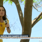 A repórter Susana Naspolini em cima de árvore ao vivo no RJ1
(Foto: Reprodução/Globo)