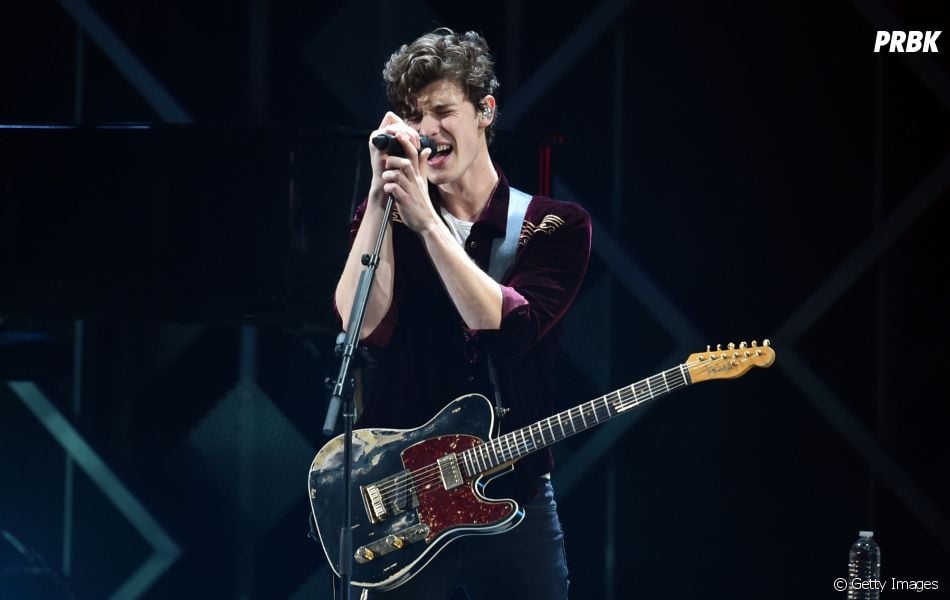 Cantor Shawn Mendes (Foto: Reprodução)