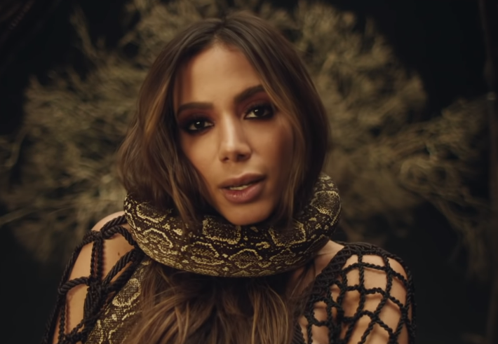 Anitta (Foto: Reprodução)