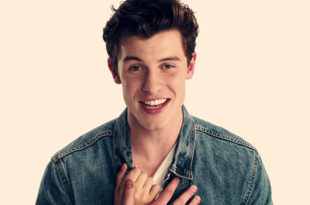 Shawn Mendes (Foto: Reprodução)