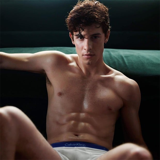 Shawn Mendes (Foto: Reprodução / Instagram) Shawn Mendes (Foto: Reprodução / Instagram)