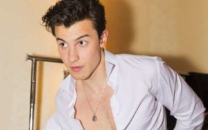 Cantor Shawn Mendes (Foto: Reprodução)