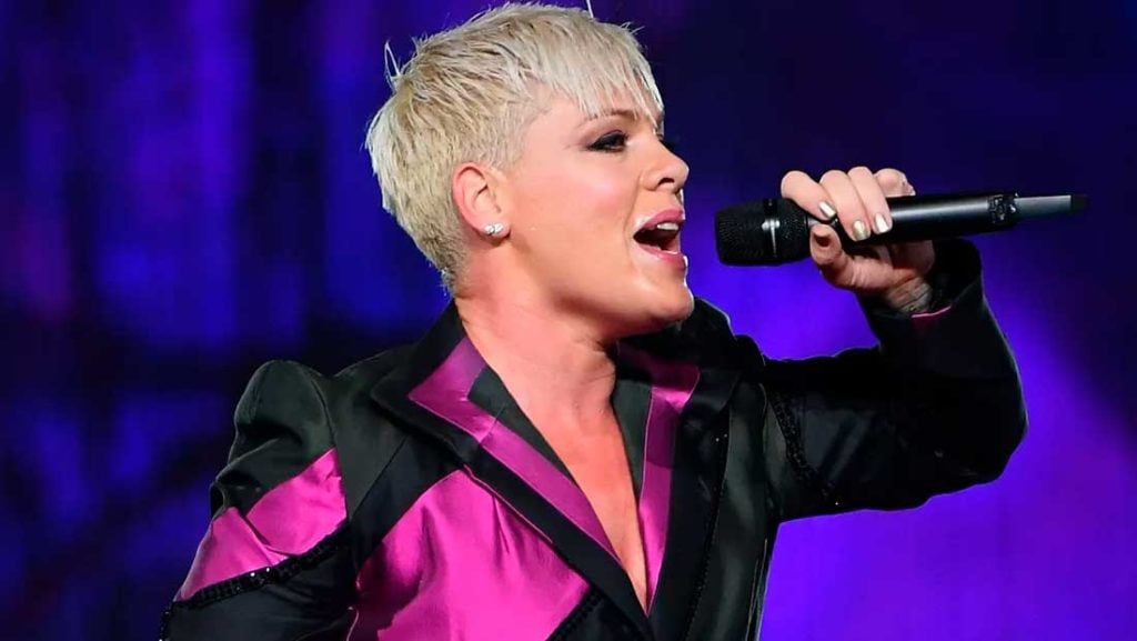 Avião da cantora brasileira Pink sofreu acidente na Dinamarca (Foto: Divulgação)
