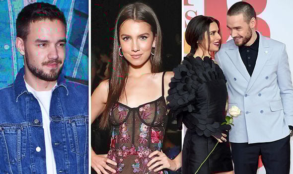 Liam Payne surpreende ao assumir namoro com a modelo Maya Henry (Foto: Reprodução)