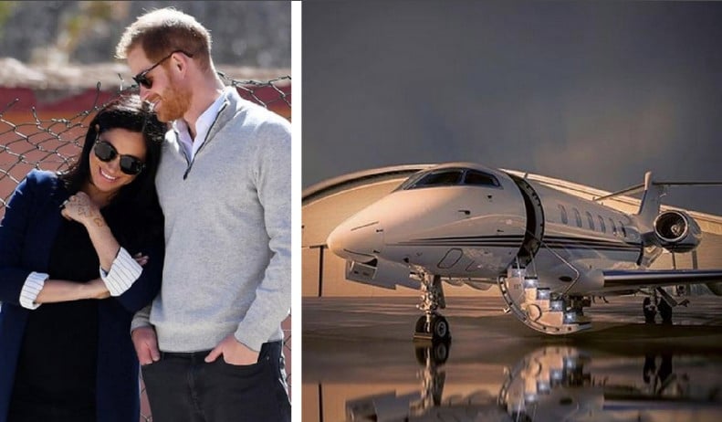 Príncipe Harry cria parceria com empresas para aumentar a sustentabilidade no turismo (Foto: Reprodução)
