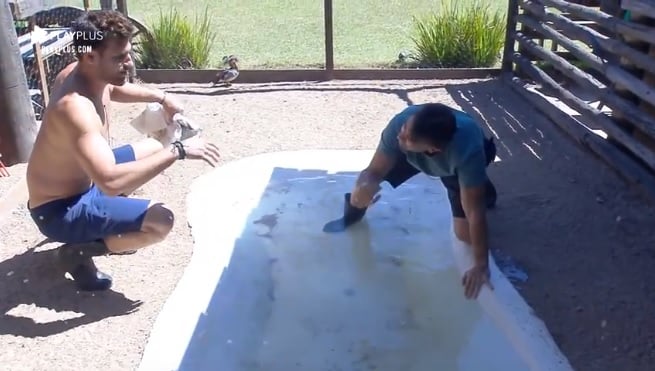 Guilherme Leão conta para Jorge Sousa que está investindo na carreira de DJ e promete desbancar Alok em A Fazenda 11 da Record TV (Reprodução: PlayPlus)