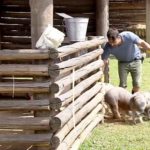 Jorge Sousa se diverte com porquinhos em A Fazenda 11 e coloca o nome de Laura Keller (Reprodução: PlayPlus)