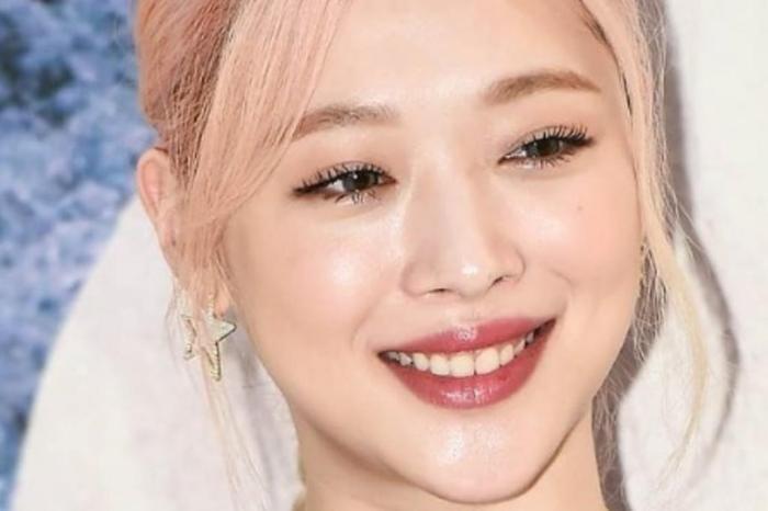 Após suicídio da cantora K_Pop Sulli, lei é criada para tentar acabar com o bullyin virtual (Foto: Reprodução)