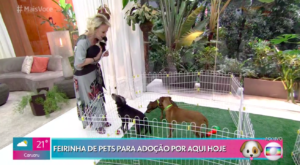 Ana Maria Braga se derreteu pelos cachorros (Reprodução/Globoplay)