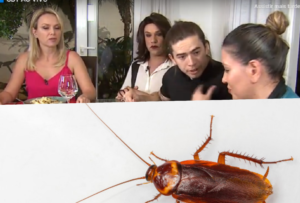 Eliana e Whindersson Nunes engolem na TV sobremesa com farinha de barata e resultado é um só