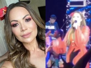 Solange detona fã durante show (Foto: Montagem TV Foco)