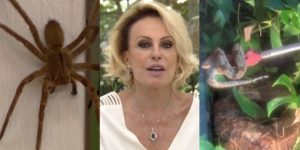 Zoológico da Ana Maria? Aranha, cobra, barata e outros bichos invadem o programa Mais Você (Foto: montagem TV Foco)