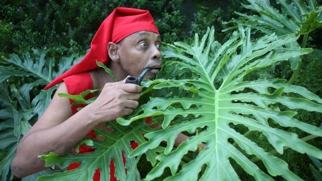 2020: Ornelas Filho morreu aos 61 anos de idade (Foto: Reprodução)