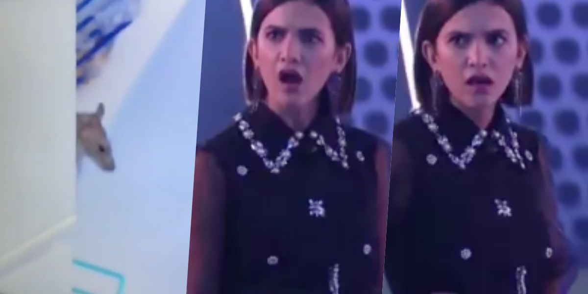 http://tvfoco.uai.com.br/wp-content/uploads/2015/05/Daniela-Mercury.jpg