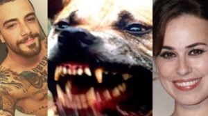 Os atores Felipe Titto e Daniela Escobar passaram por grande susto com seus animais de estimação (Montagem: TV Foco)