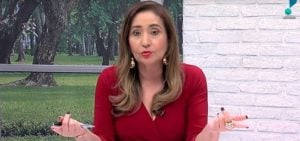 Sonia Abrão no programa A Tarde é Sua da RedeTV (Reprodução: RedeTV!)