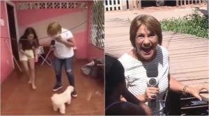 Repórter Celia Pinho tomou susto com cachorro ao vivo. (Foto: Montagem/Reprodução)