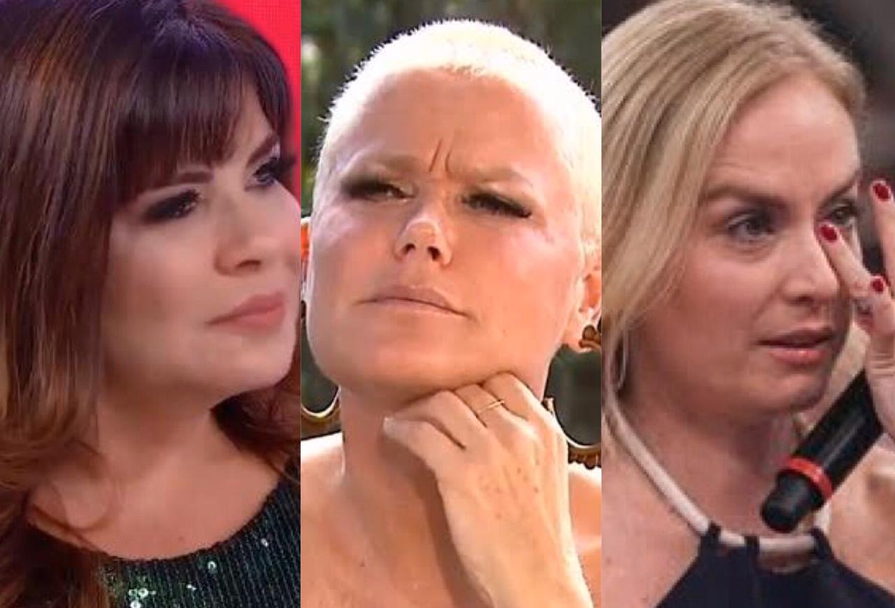 http://tvfoco.uai.com.br/wp-content/uploads/2015/05/Daniela-Mercury.jpg