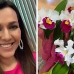 Veruska Seibel exibiu presente dado pela mãe de Ricardo Boechat no Dia dos Namorados (Foto: Montagem/TV Foco)