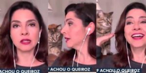 Carolina Bahia, jornalista da NSC, filial da Bahia, foi interrompida por sua gata, Kitty, ao vivo (Montagem: TV Foco)