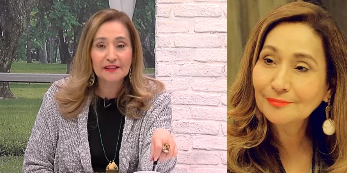 Sonia Abrão colocou fim em polêmica (Foto: Reprodução/RedeTV!)