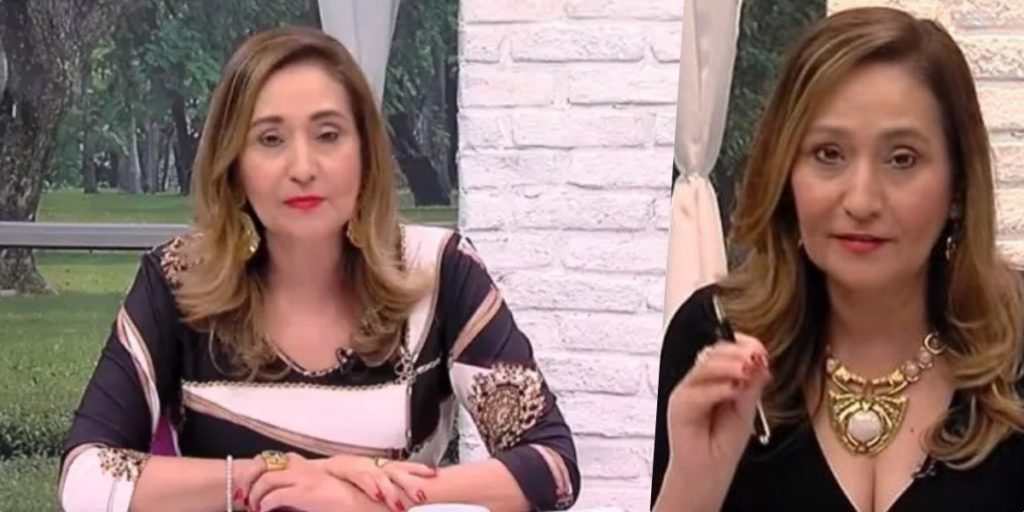 Sonia Abrão, comanda o A Tarde é Sua na RedeTV (Foto montagem) 
