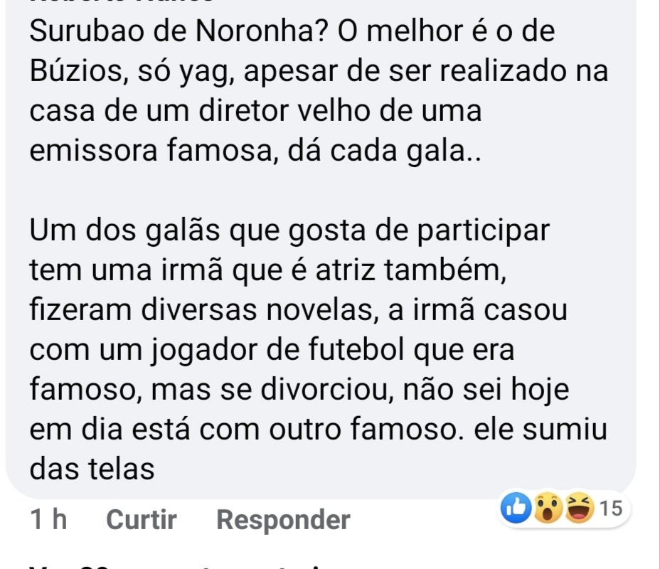 Relato sobre a festinha com celebridades (Foto: reprodução) 