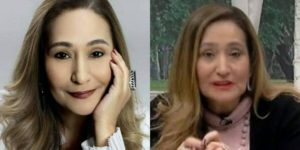 Sônia Abrão (Foto: Reprodução/Chico Audi/Instagram)
