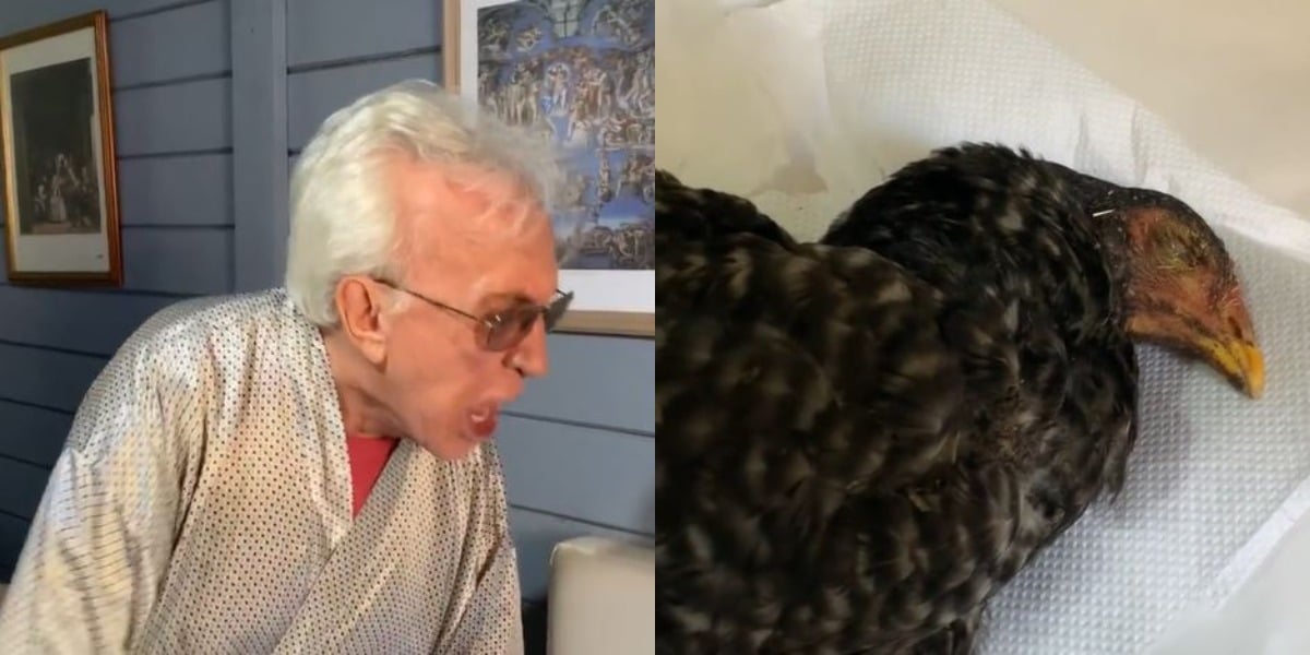 Moacyr Franco "brigou" com galinha (Foto: Reprodução/Instagram)