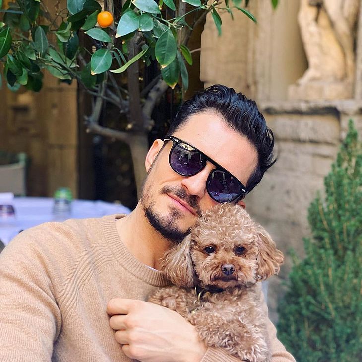 Orlando Bloom e seu cachorro de estimação (Foto: Reprodução)