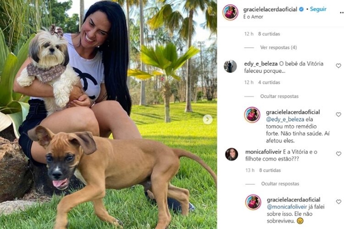 Respostas de Graciele Lacerda a comentários de seguidores (Foto: Reprodução) 