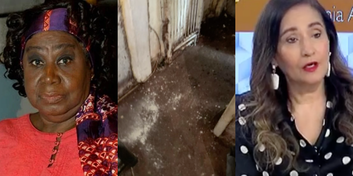 Atriz tem novas fotos chocantes do apartamento reveladas no programa de Sonia Abrão (Foto: Montagem)