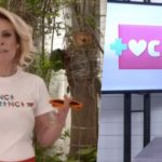 Ana Maria fez um comunicado sobre Louro José (Foto: reprodução)