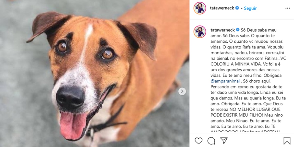 Publicação de Tatá Werneck lamentando a morte do seu cachorro (Foto: Reprodução)