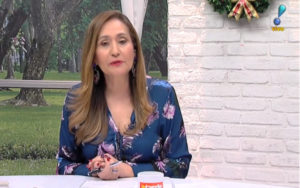 Sonia Abrão e o A Tarde é Sua ficaram fora do ar após queda de sinal (Foto: Divulgação)