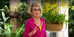 Ana Maria Braga (Foto: Reprodução)