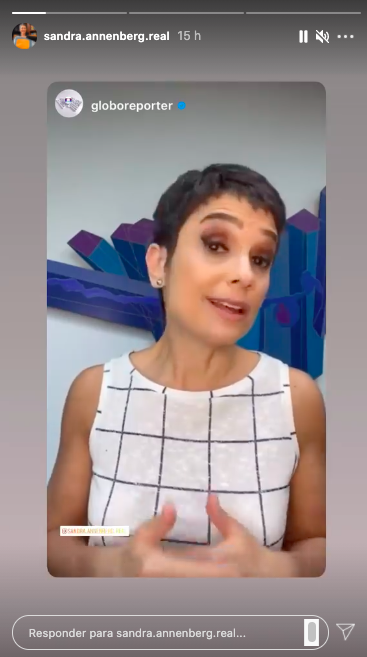 Sandra Annenberg (Reprodução) 