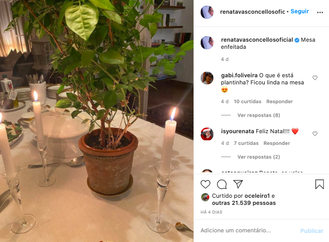 Renata Vasconcellos é questionada sobre planta em cima da mesa nas redes sociais (Reprodução: Instagram)