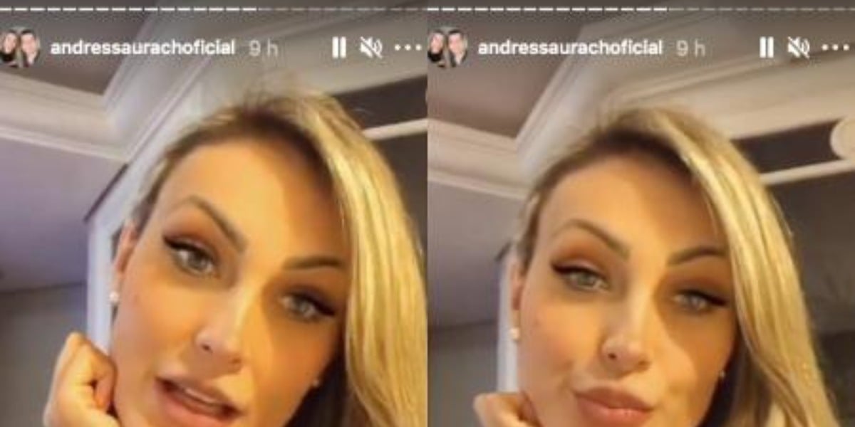 Andressa Urach rebatendo as críticas em seus Stories (Foto: Reprodução)