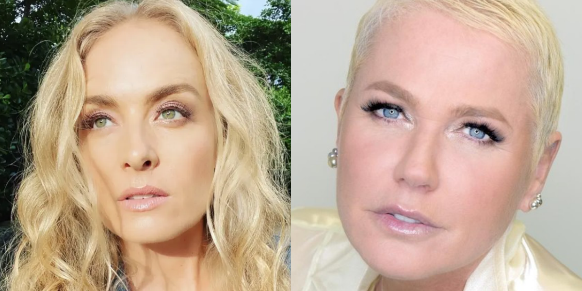 Angélica e Xuxa (Foto: Montagem/TVFoco)