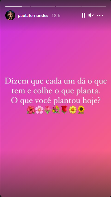 Paula Fernandes fez reflexão nas redes sociais (Foto: Reprodução)
