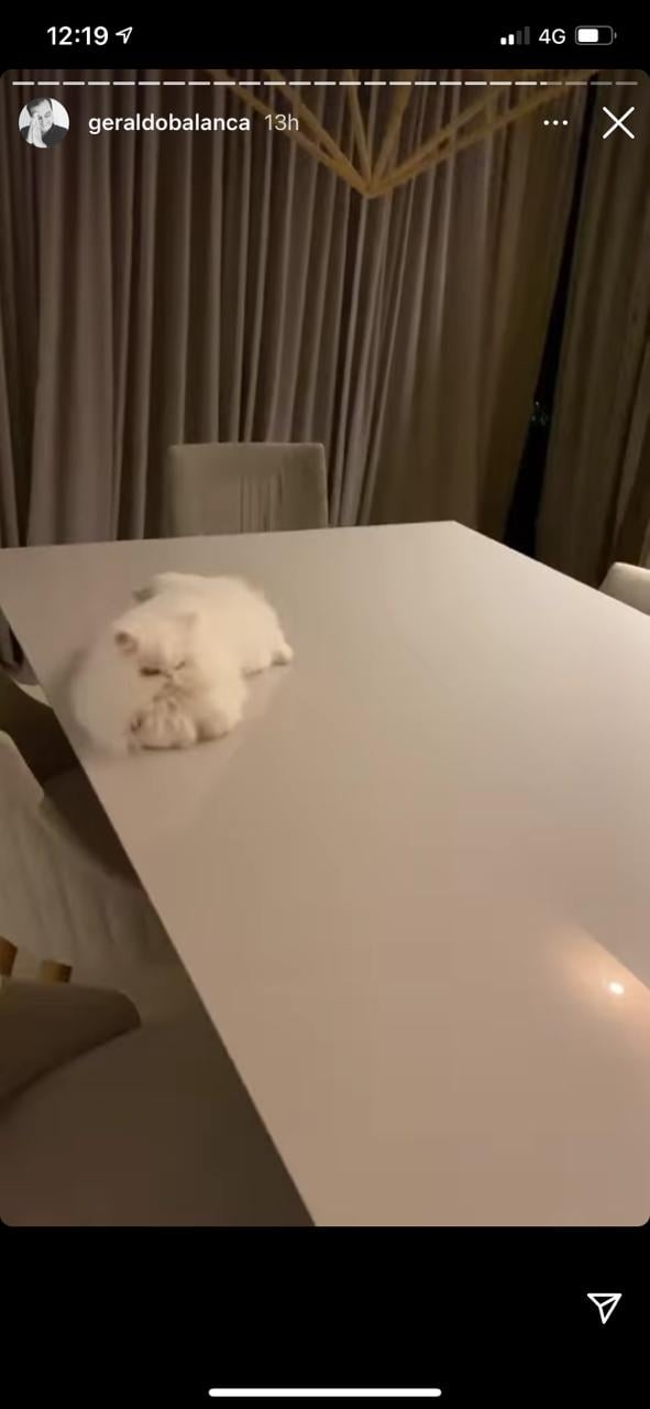 Geraldo Luís expõe momento íntimo com parceiro de quatro patas (Reprodução) 