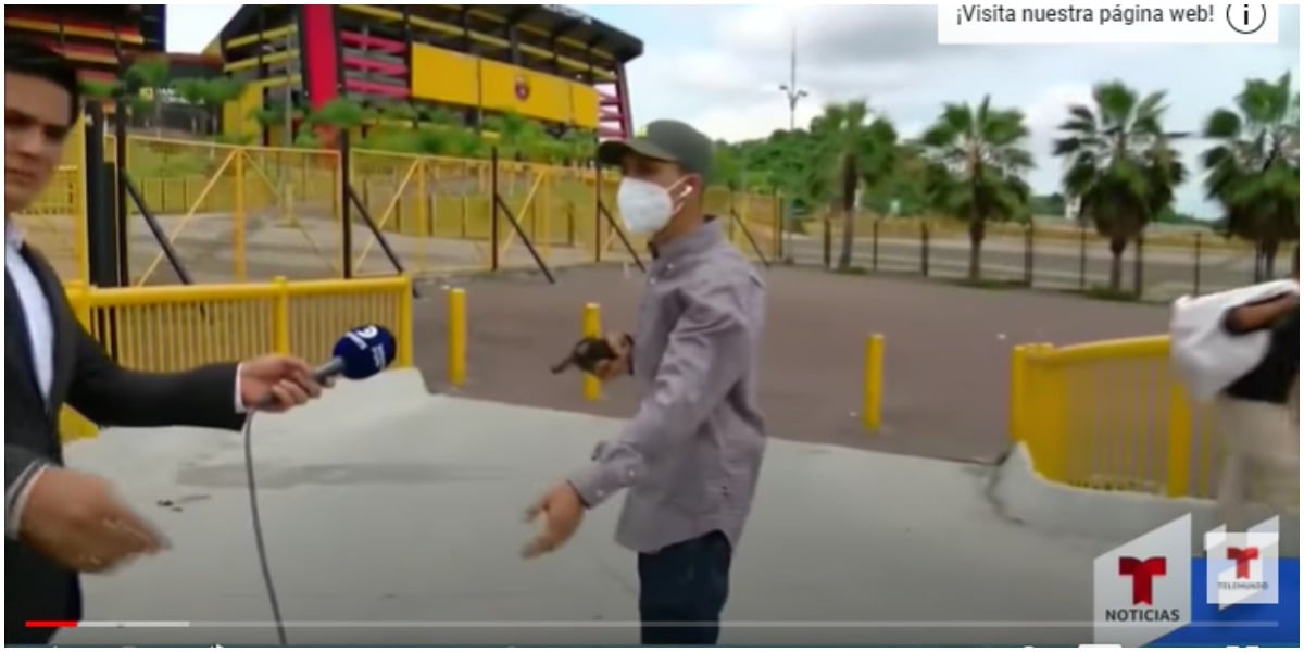 Assalto a repórter e cinegrafista acontece ao vivo e choca público (Foto: Reprodução)