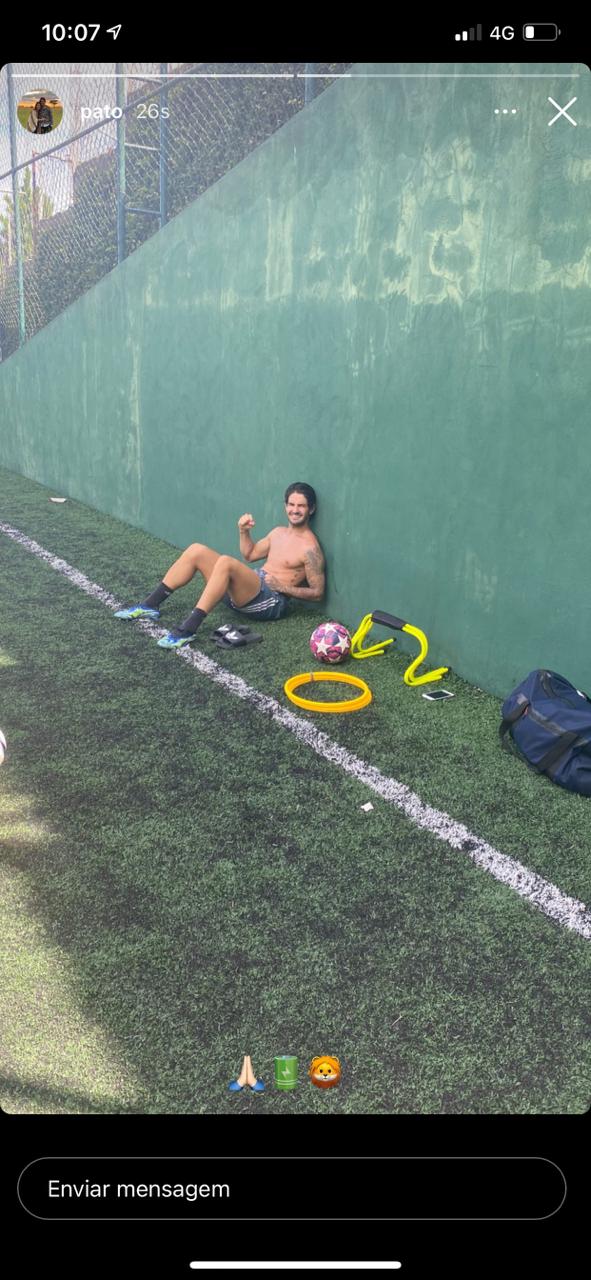 Pato exibe músculos enquanto descansa no mato, após treino (Reprodução)