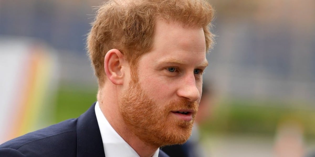 Príncipe Harry pula a cerca e pede outra em casamento (Foto: Reprodução)