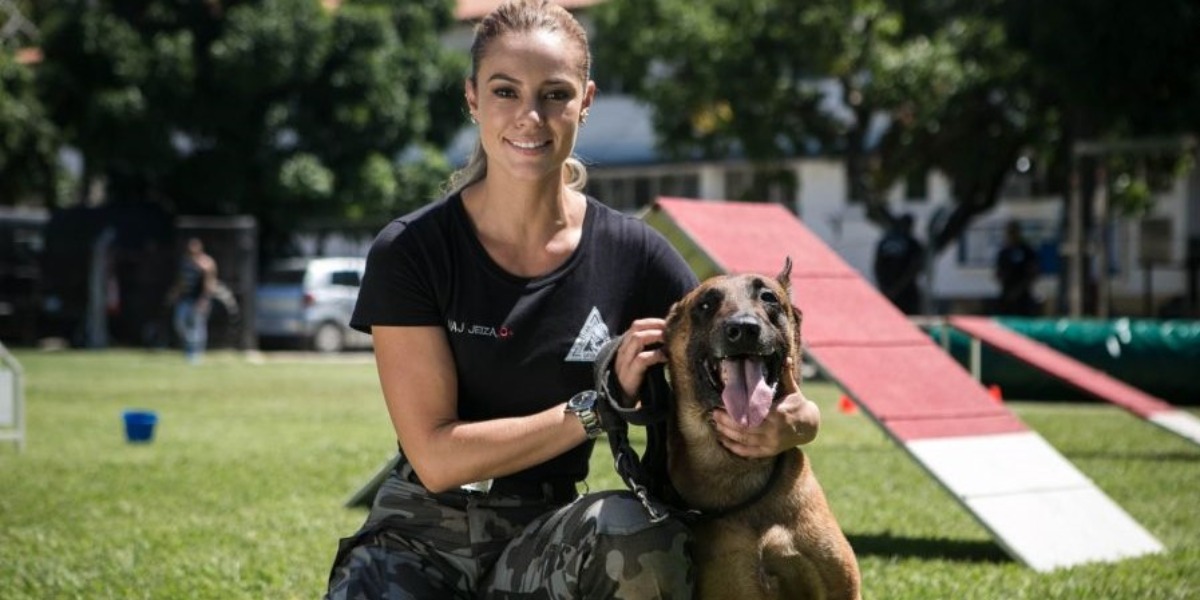 Cão Iron, que contracenava com Paolla Oliveira em A Força do Querer (Foto: Reprodução)