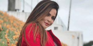 Geisy Arruda polemiza com cliques ousados (Foto: Reprodução)