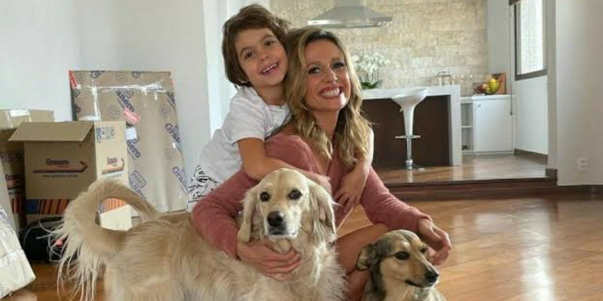Luisa Mell alfineta o ex-marido após anunciar fim e expor traição (Foto: Reprodução)